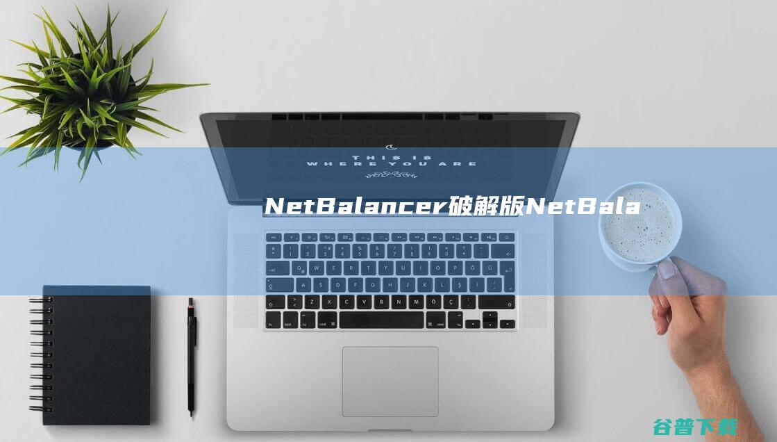 NetBalancer破解版-NetBalancer(网络流量监控软件)v12.1.1.3556汉化免费版